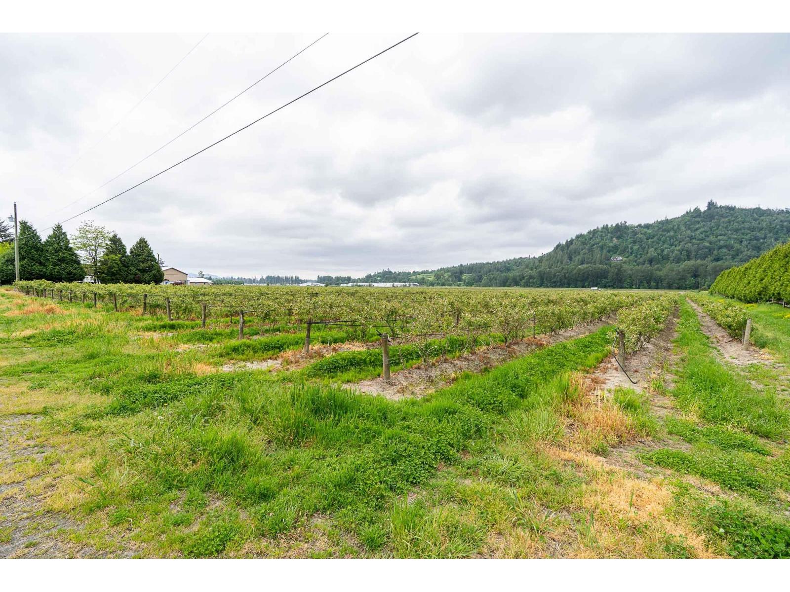 3593 MCDERMOTT ROAD, Abbotsford, British Columbia