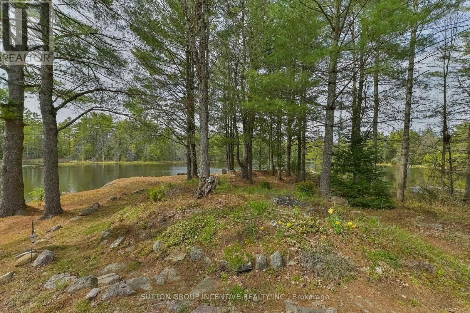 151 Boundary Road, Minden Hills, Ontario  K0M 2A1 - Photo 18 - X13128344