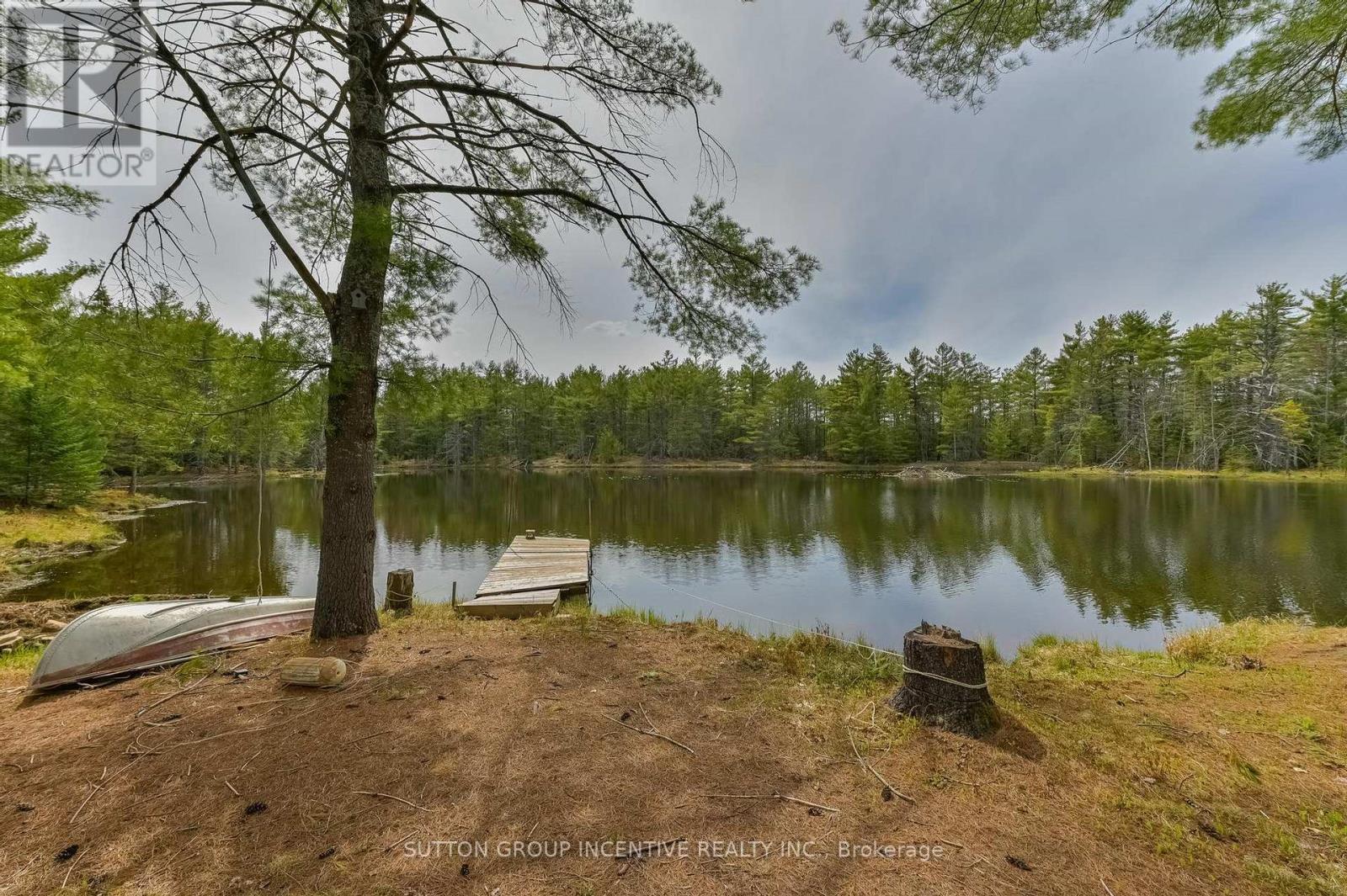 151 Boundary Road, Minden Hills, Ontario  K0M 2A1 - Photo 19 - X13128344