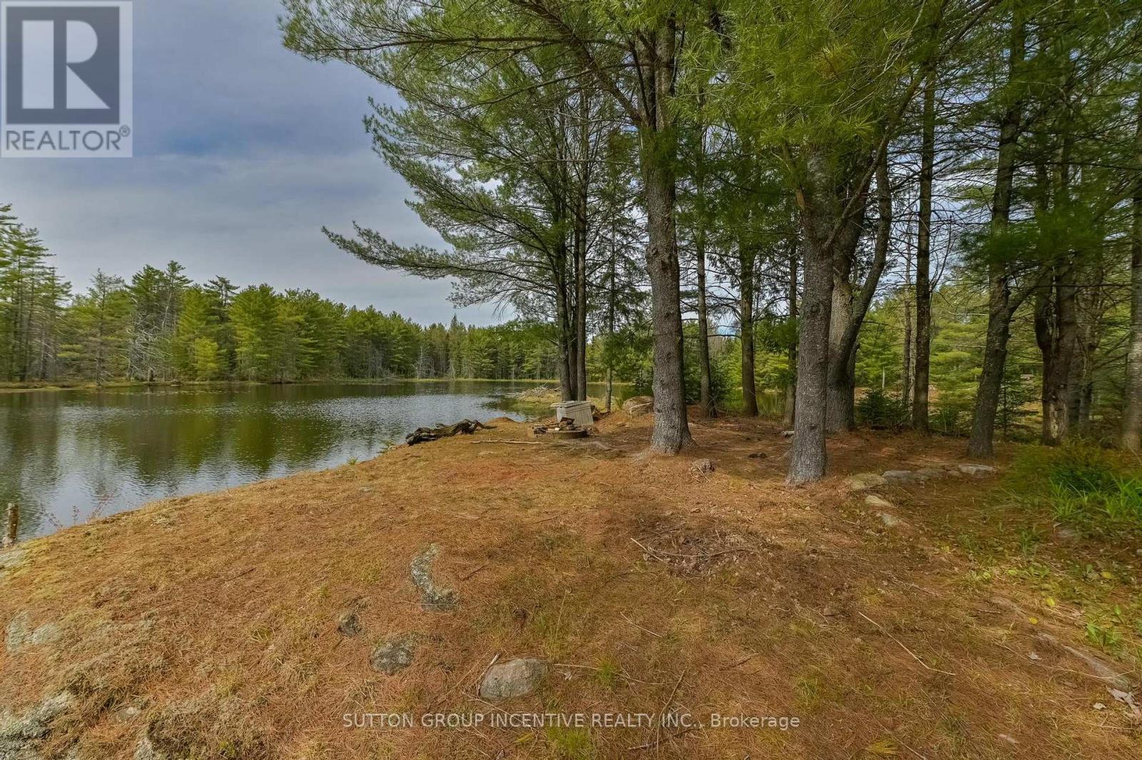 151 Boundary Road, Minden Hills, Ontario  K0M 2A1 - Photo 20 - X13128344