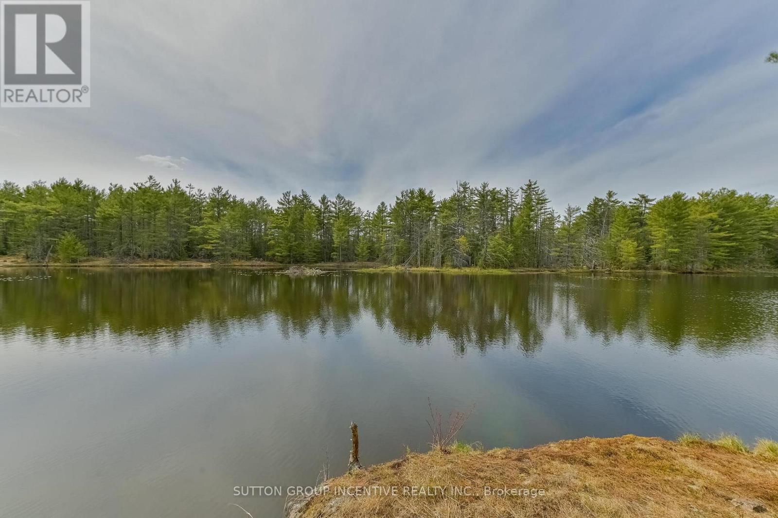 151 Boundary Road, Minden Hills, Ontario  K0M 2A1 - Photo 21 - X13128344