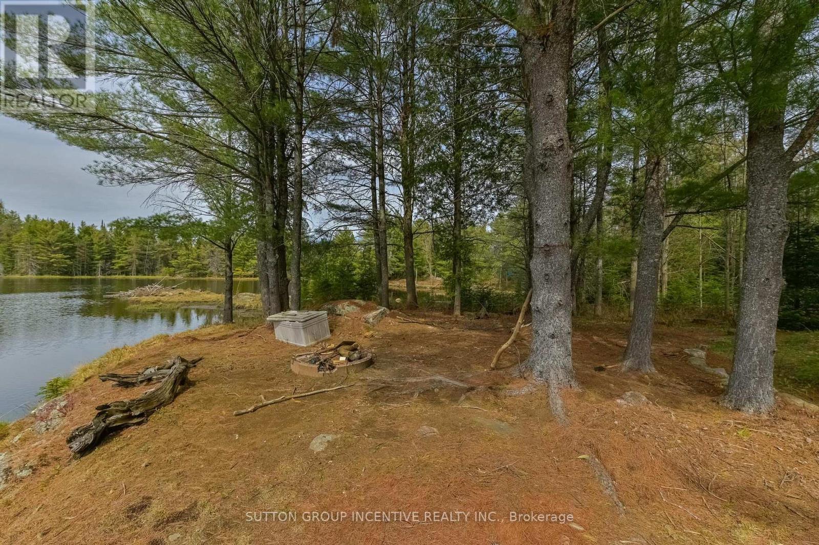 151 Boundary Road, Minden Hills, Ontario  K0M 2A1 - Photo 22 - X13128344