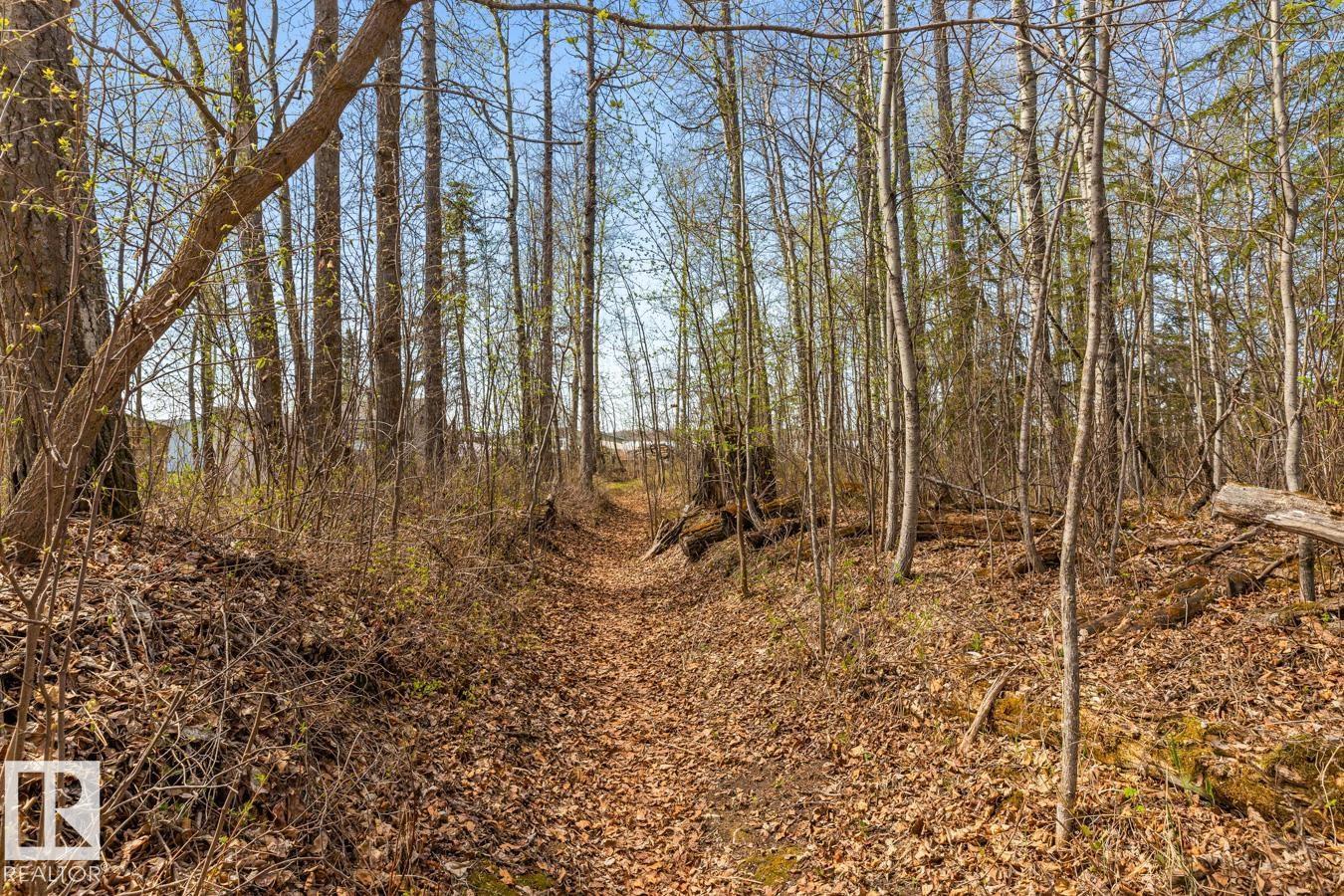 1 Poplar Av, Rural Lac Ste. Anne County, Alberta  T0E 0V0 - Photo 45 - E4487666