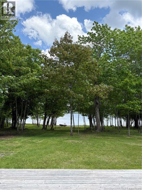 1877 Lakeview Road, Cambridge-Narrows, New Brunswick  E4C 1M9 - Photo 13 - NB139512