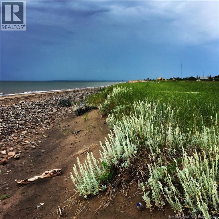 Lot Chemin Malbay, Miscou, New Brunswick  E8T 2E4 - Photo 8 - NB139504