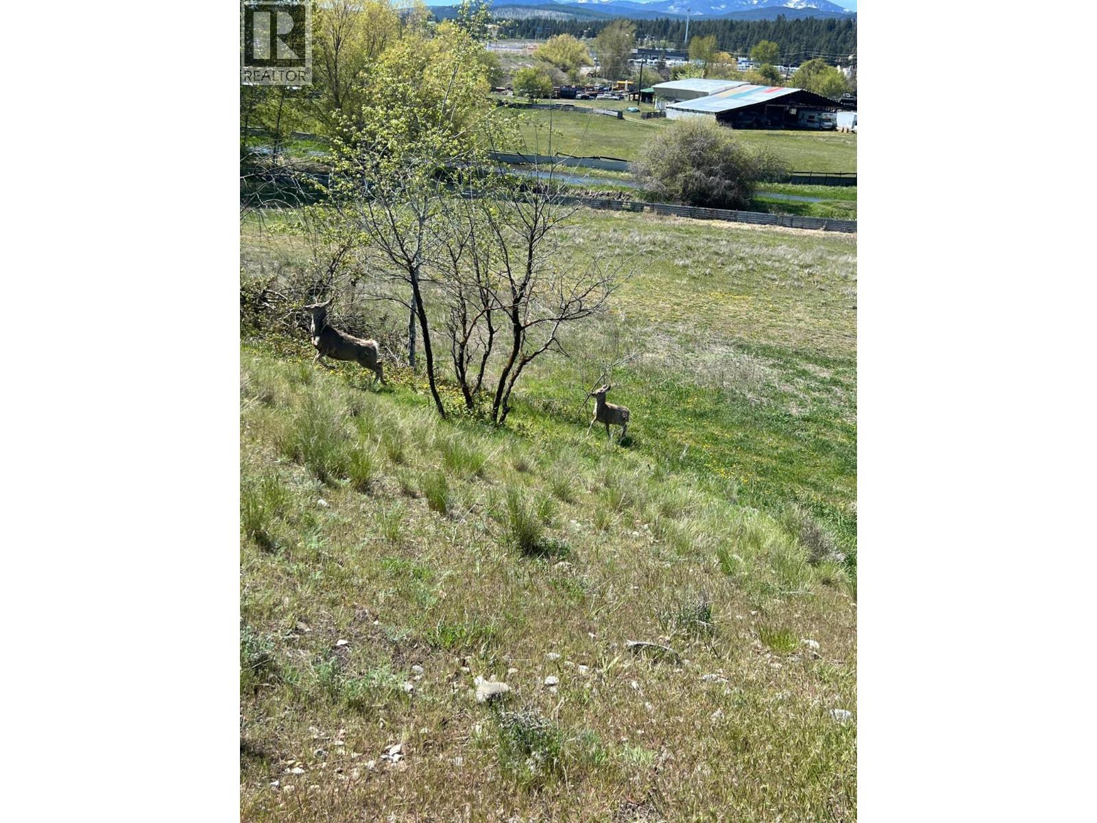 2400 22nd  N Street, Cranbrook, British Columbia  V1C 4J1 - Photo 1 - 2476831