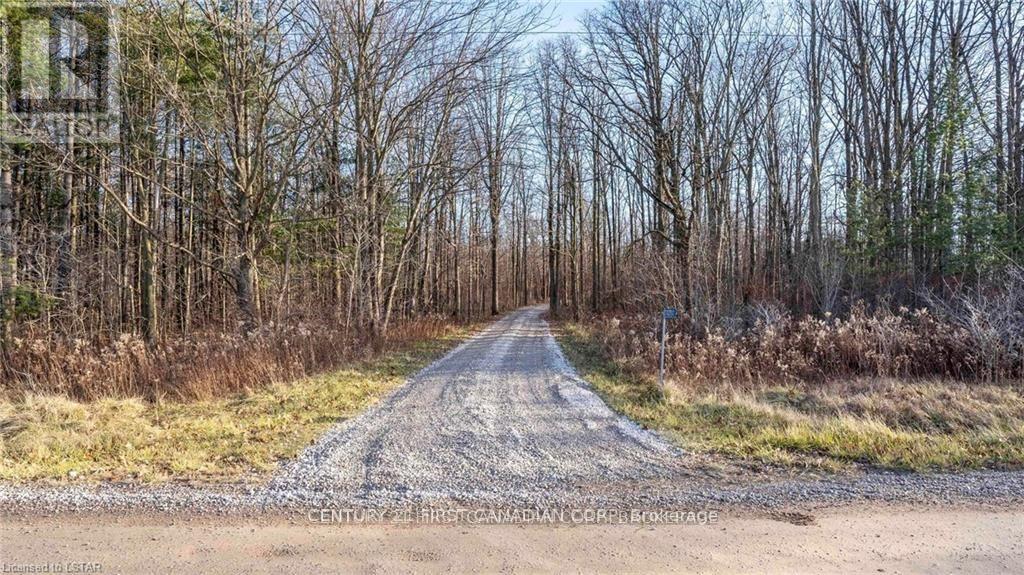 29709 Celtic Line S, Dutton/dunwich, Ontario  N0L 1J0 - Photo 10 - X13128636