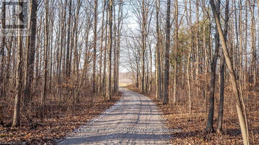 29709 Celtic Line S, Dutton/dunwich, Ontario  N0L 1J0 - Photo 11 - X13128636