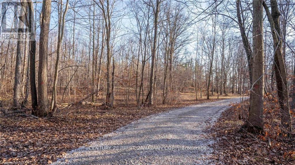 29709 Celtic Line S, Dutton/dunwich, Ontario  N0L 1J0 - Photo 13 - X13128636