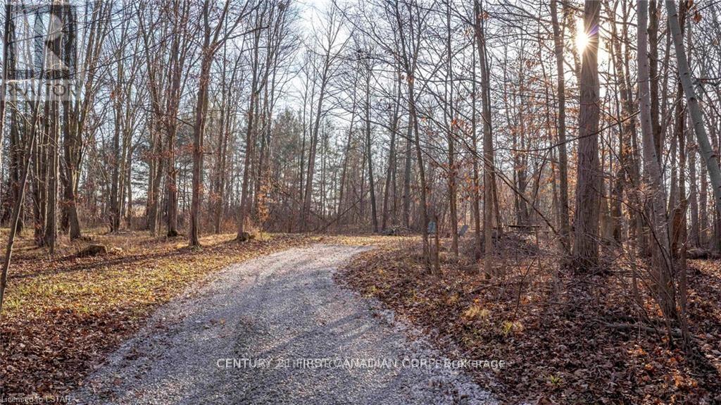29709 Celtic Line S, Dutton/dunwich, Ontario  N0L 1J0 - Photo 14 - X13128636