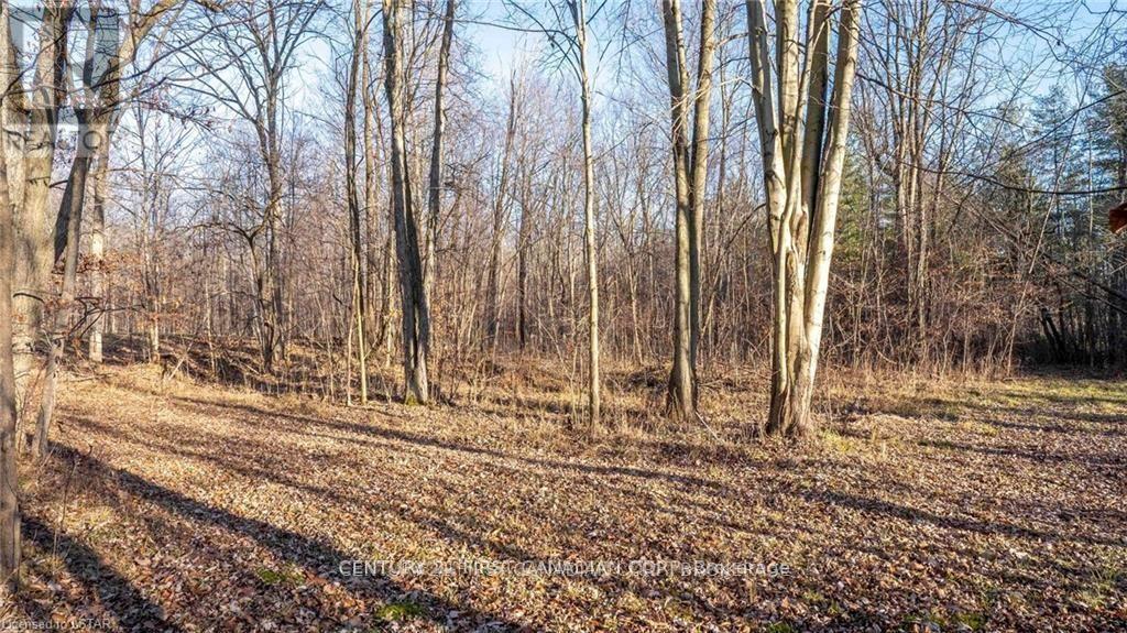 29709 Celtic Line S, Dutton/dunwich, Ontario  N0L 1J0 - Photo 15 - X13128636