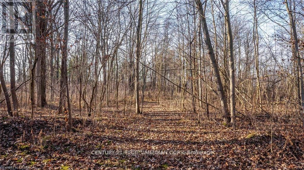 29709 Celtic Line S, Dutton/dunwich, Ontario  N0L 1J0 - Photo 17 - X13128636