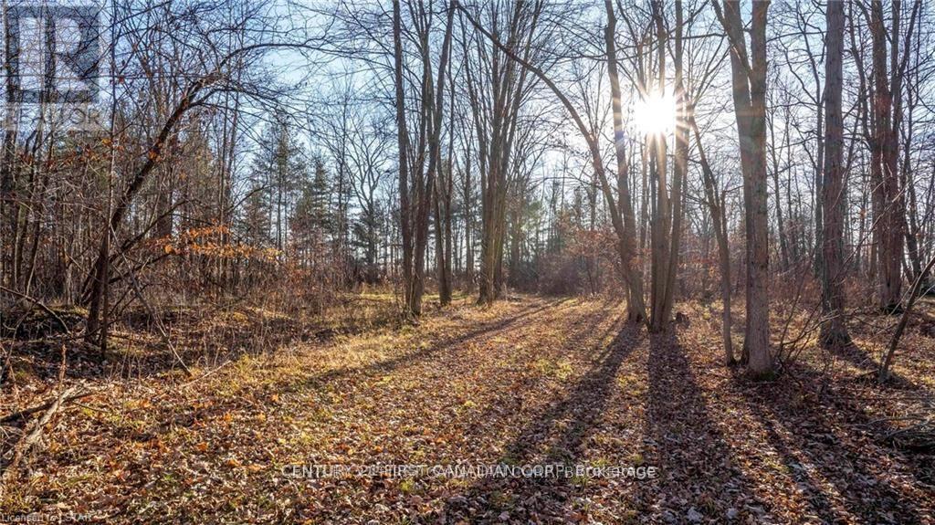 29709 Celtic Line S, Dutton/dunwich, Ontario  N0L 1J0 - Photo 20 - X13128636