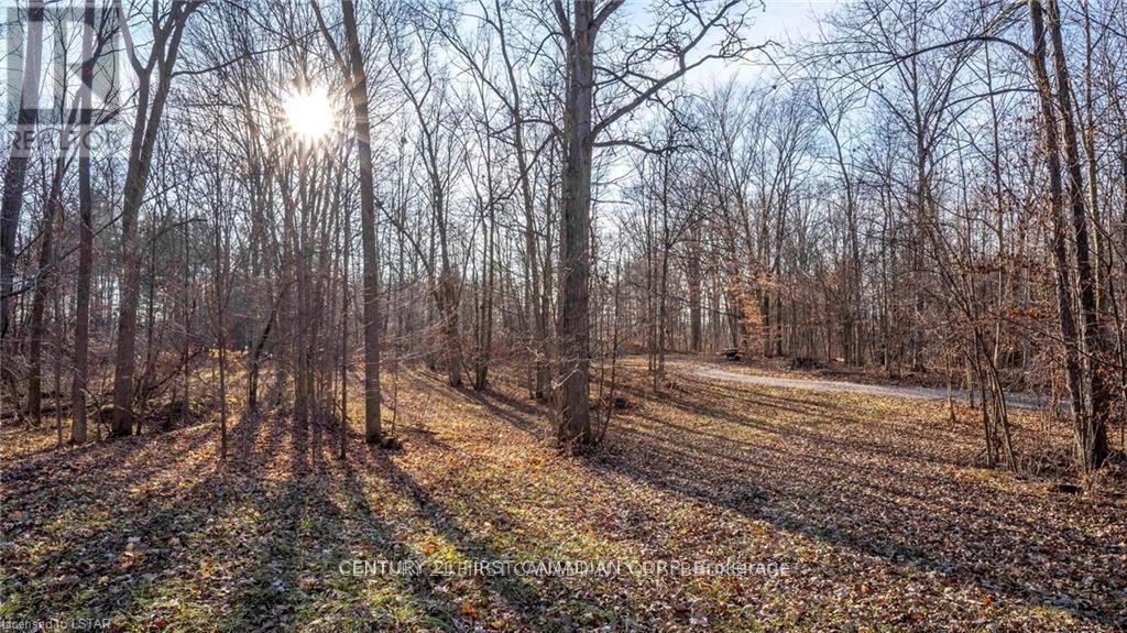 29709 Celtic Line S, Dutton/dunwich, Ontario  N0L 1J0 - Photo 21 - X13128636