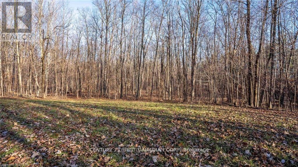 29709 Celtic Line S, Dutton/dunwich, Ontario  N0L 1J0 - Photo 22 - X13128636