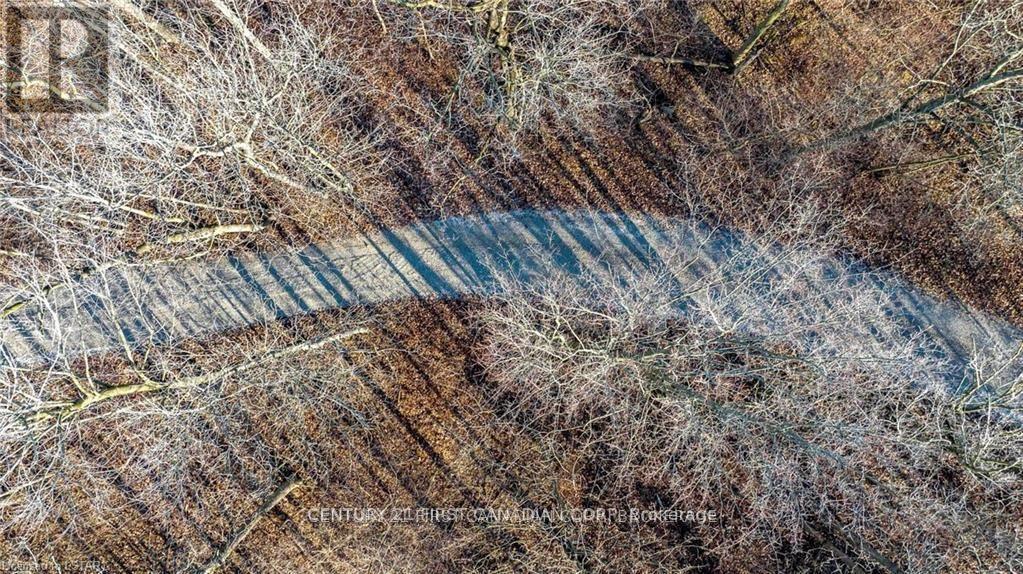 29709 Celtic Line S, Dutton/dunwich, Ontario  N0L 1J0 - Photo 8 - X13128636