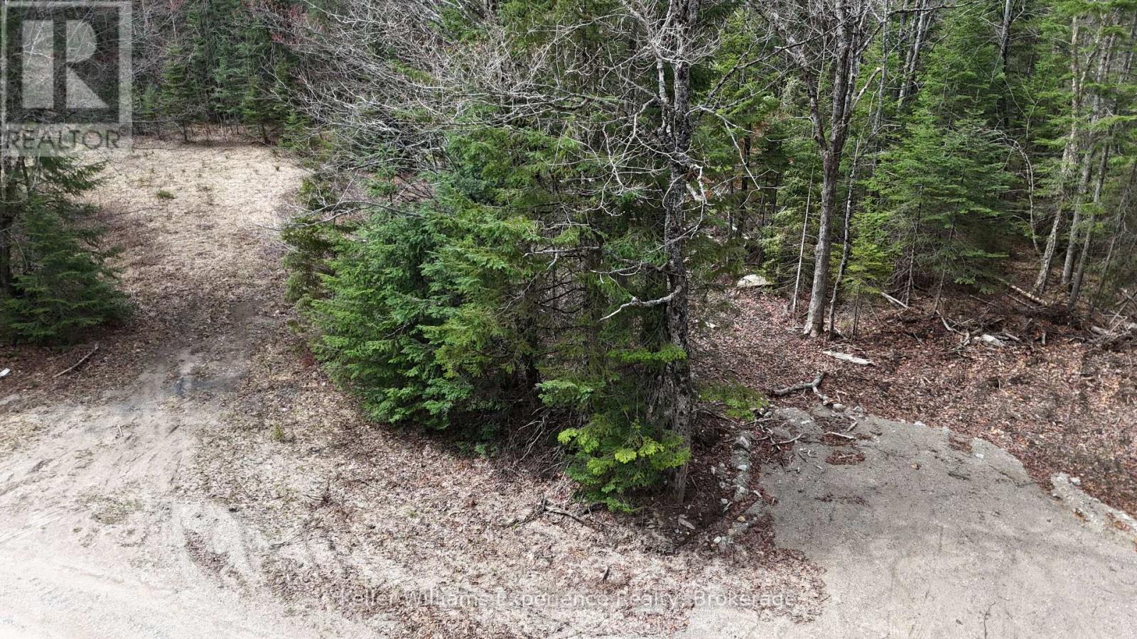 1397 Echo Ridge Road, Kearney, Ontario  P0A 1M0 - Photo 11 - X13128610