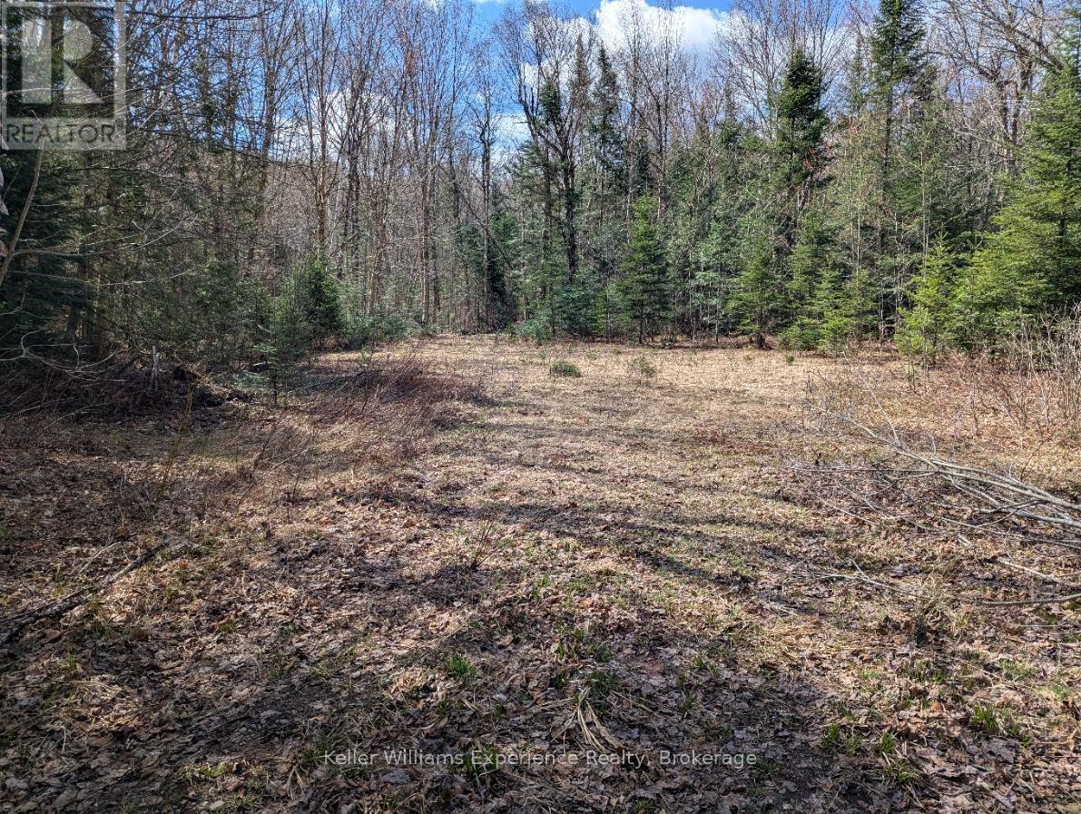 1397 Echo Ridge Road, Kearney, Ontario  P0A 1M0 - Photo 3 - X13128610