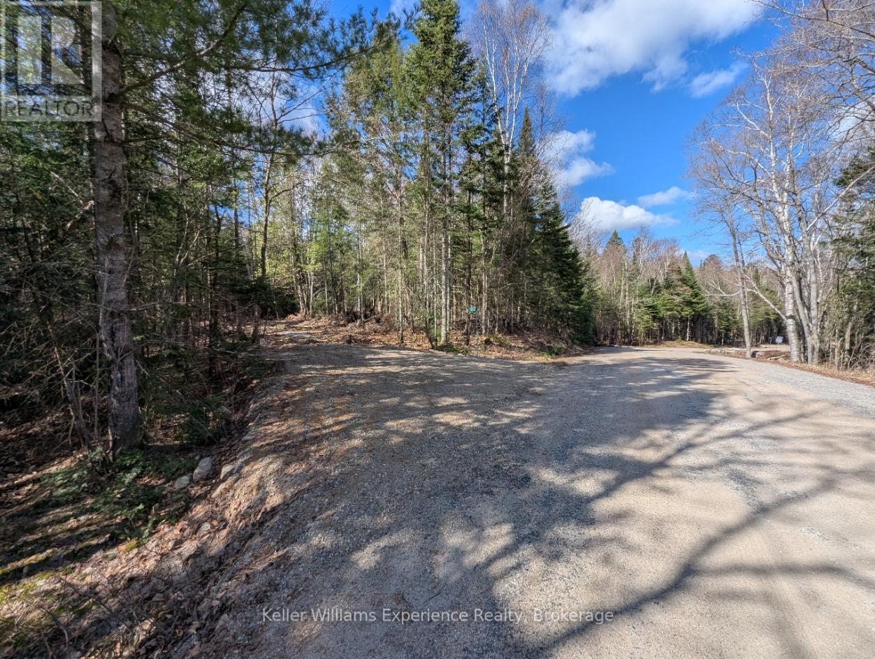 1363 Echo Ridge Road, Kearney, Ontario  P0A 1M0 - Photo 10 - X13128618