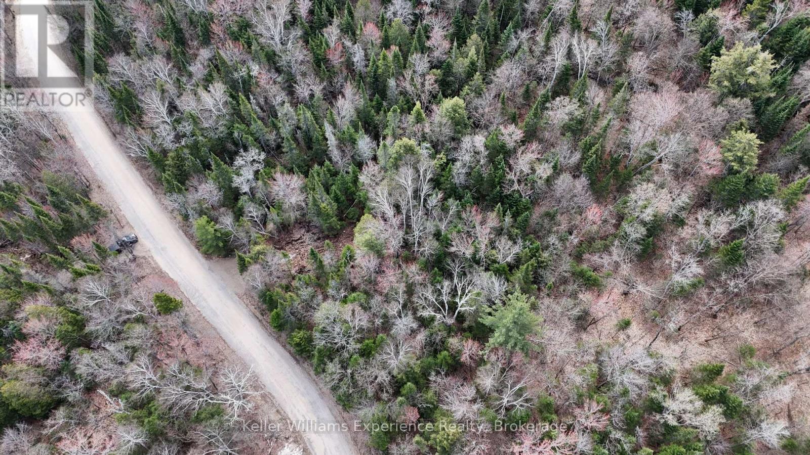 1363 Echo Ridge Road, Kearney, Ontario  P0A 1M0 - Photo 6 - X13128618