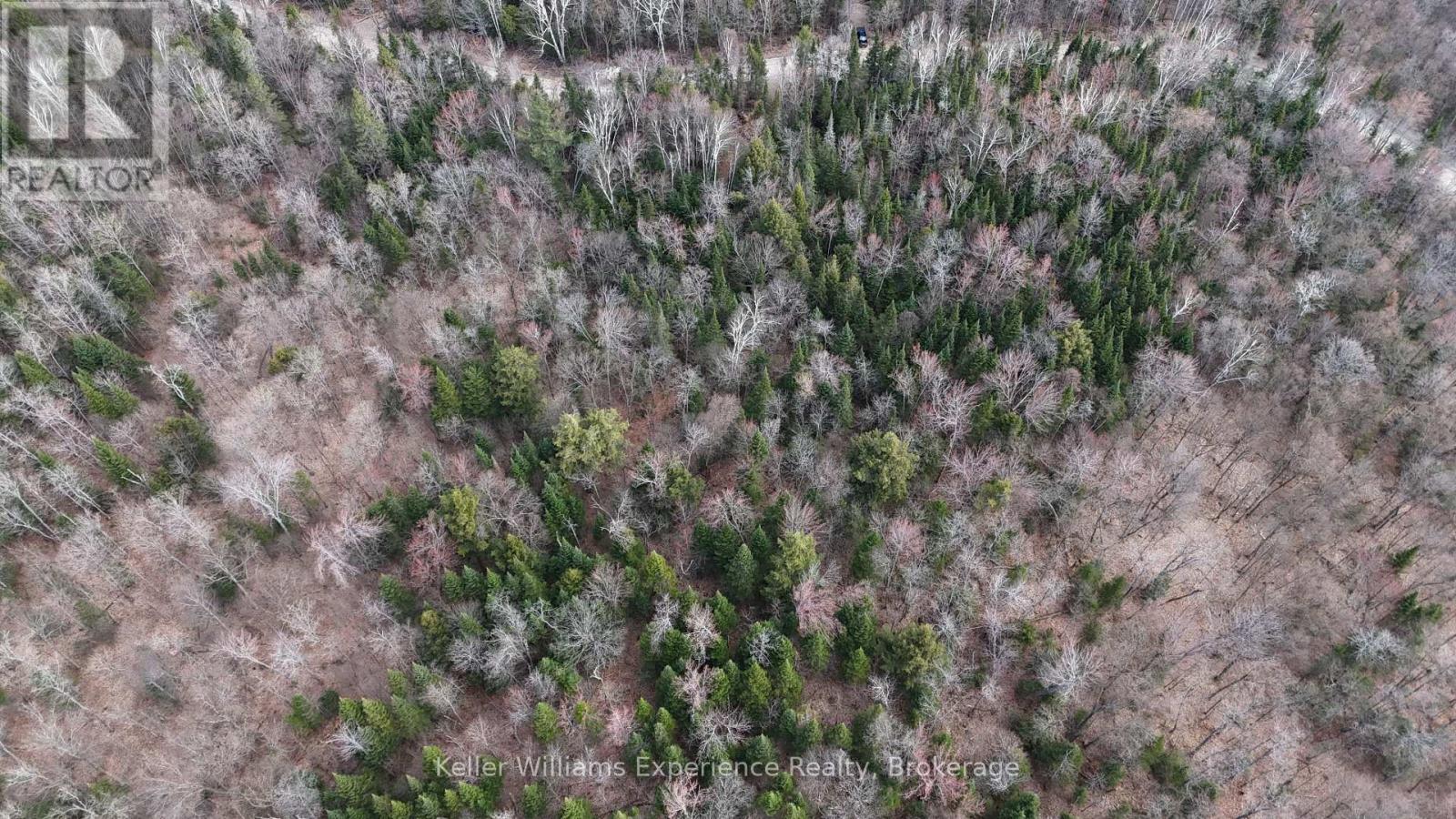 1363 Echo Ridge Road, Kearney, Ontario  P0A 1M0 - Photo 9 - X13128618