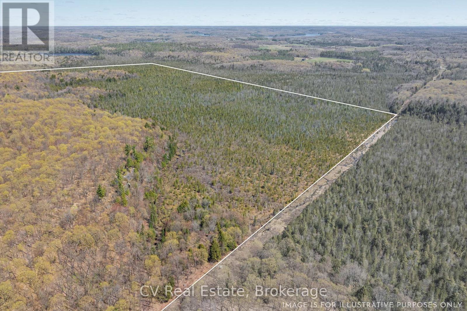 Lot 21 & Lot 22 Con 3, Muskoka Lakes, Ontario  P0B 1M0 - Photo 16 - X13128622