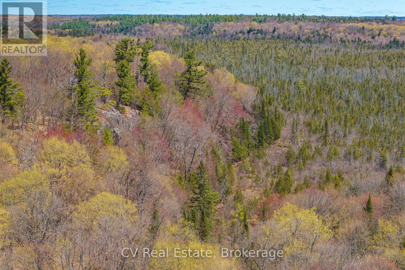 Lot 21 & Lot 22 Con 3, Muskoka Lakes, Ontario  P0B 1M0 - Photo 19 - X13128622