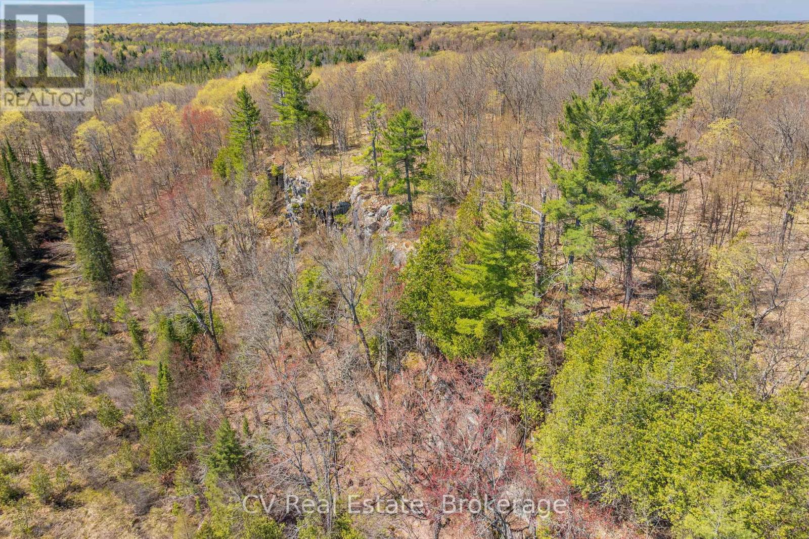 Lot 21 & Lot 22 Con 3, Muskoka Lakes, Ontario  P0B 1M0 - Photo 22 - X13128622