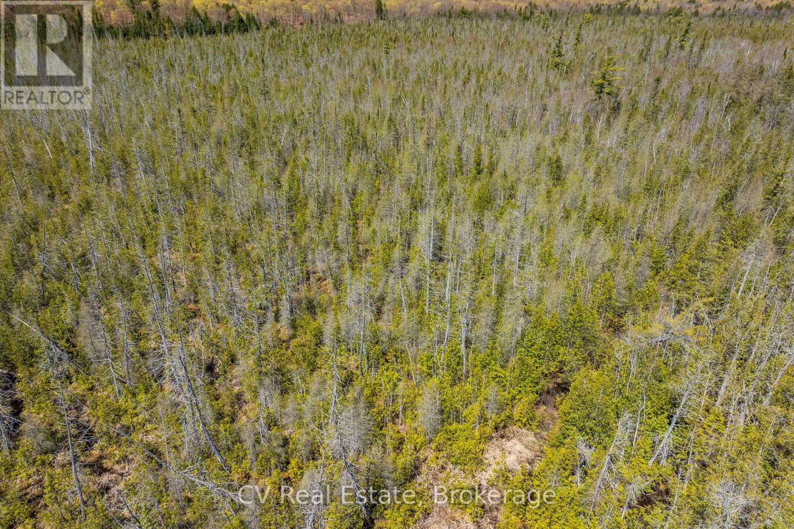 Lot 21 & Lot 22 Con 3, Muskoka Lakes, Ontario  P0B 1M0 - Photo 31 - X13128622