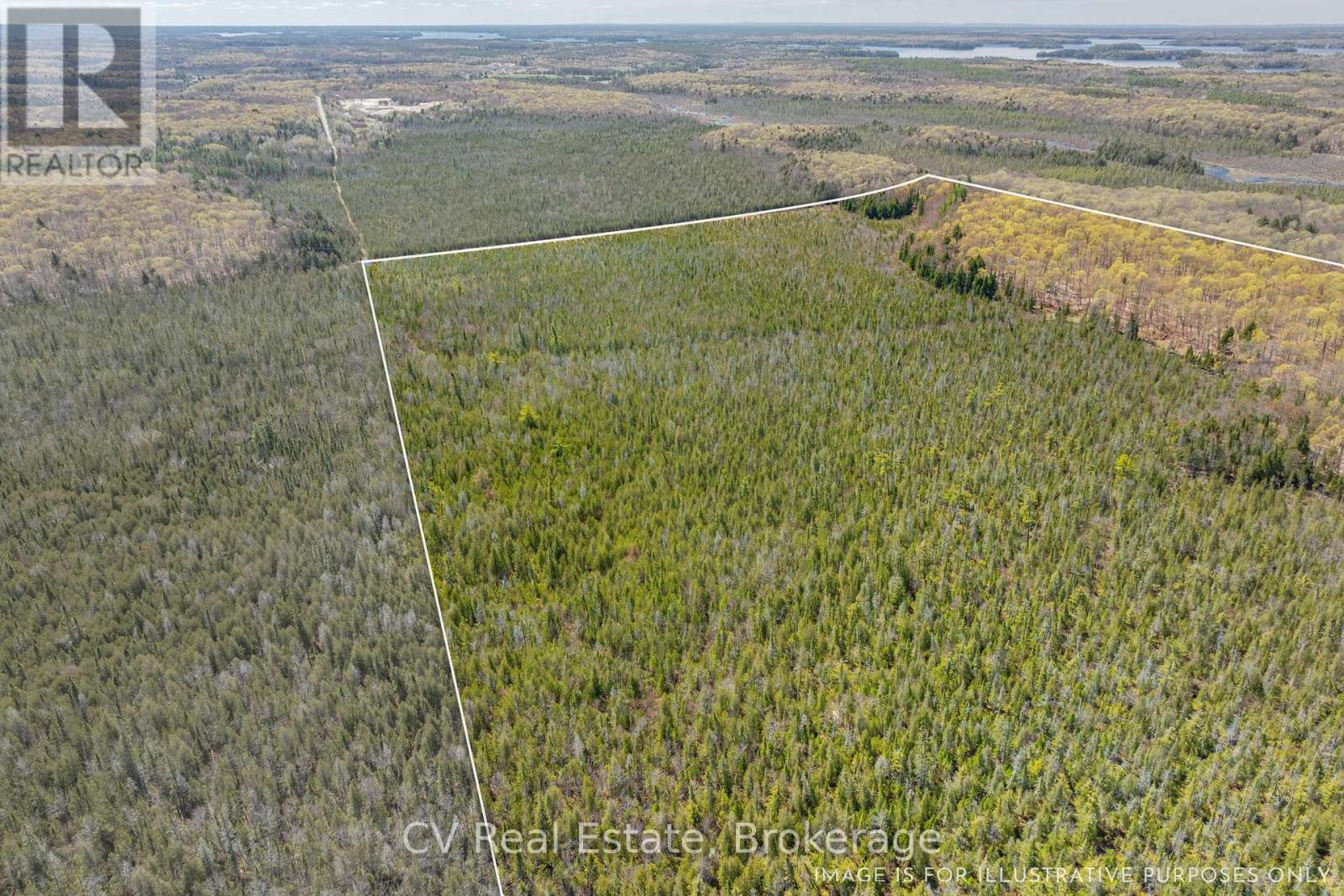 Lot 21 & Lot 22 Con 3, Muskoka Lakes, Ontario  P0B 1M0 - Photo 32 - X13128622