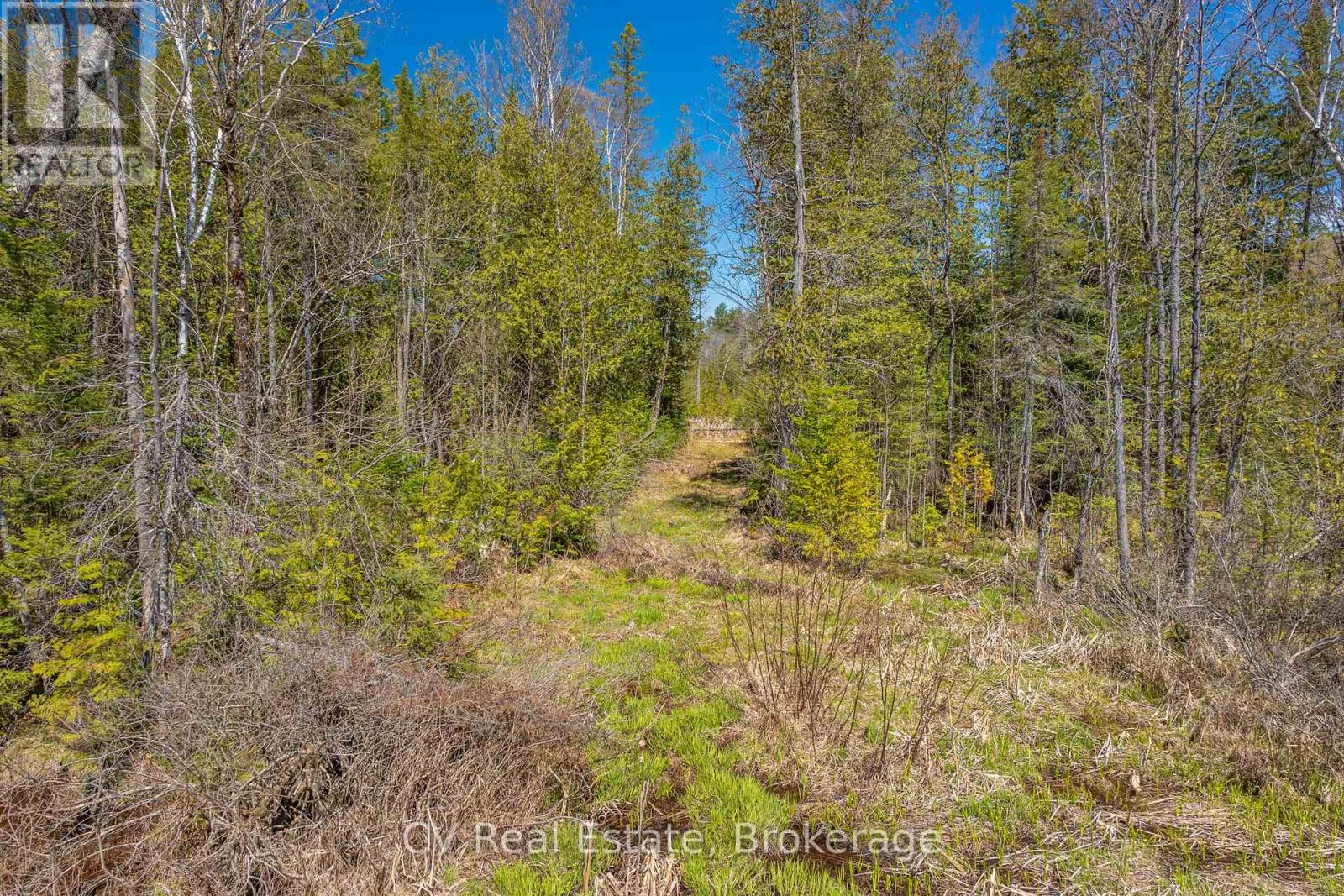 Lot 21 & Lot 22 Con 3, Muskoka Lakes, Ontario  P0B 1M0 - Photo 42 - X13128622