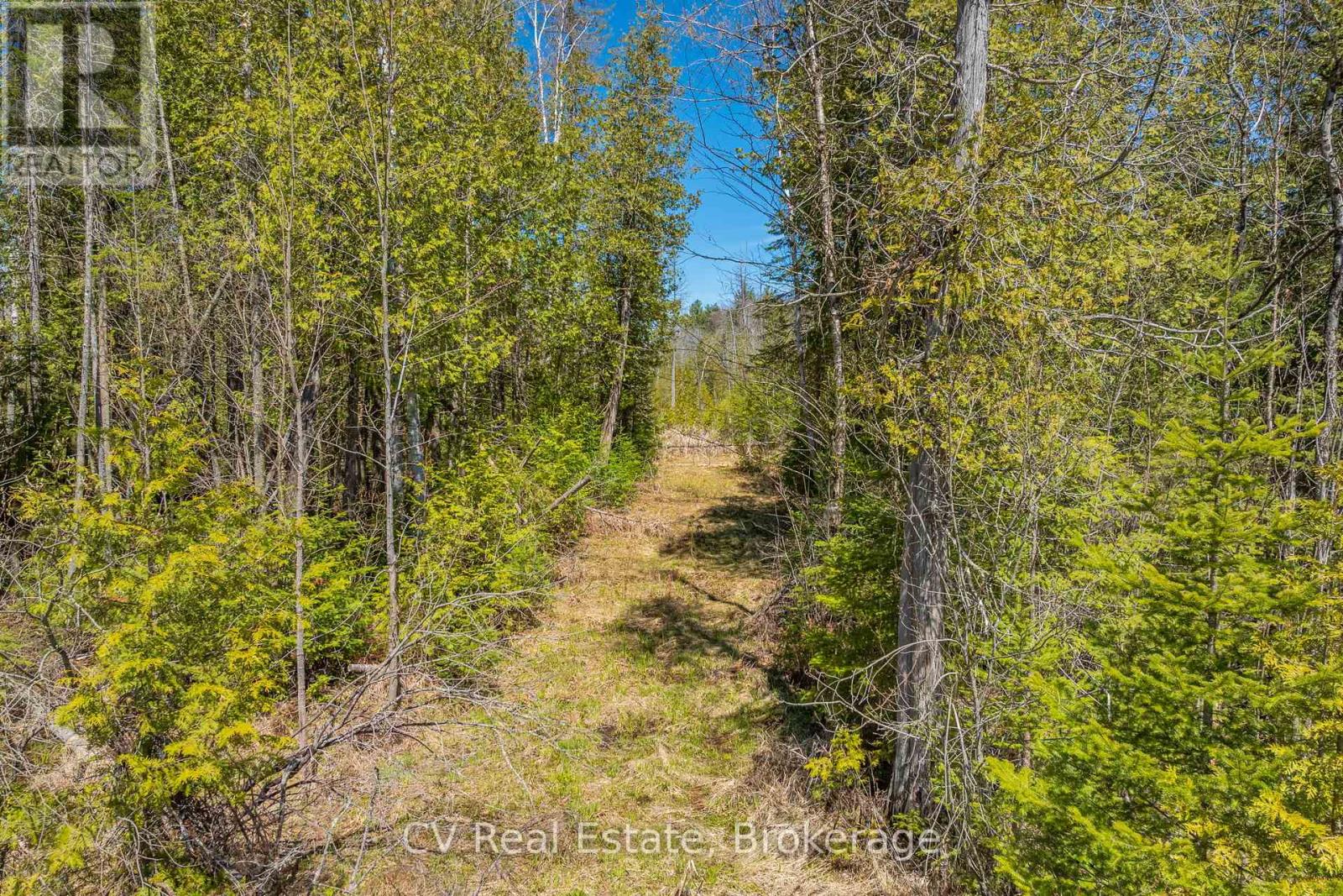 Lot 21 & Lot 22 Con 3, Muskoka Lakes, Ontario  P0B 1M0 - Photo 43 - X13128622