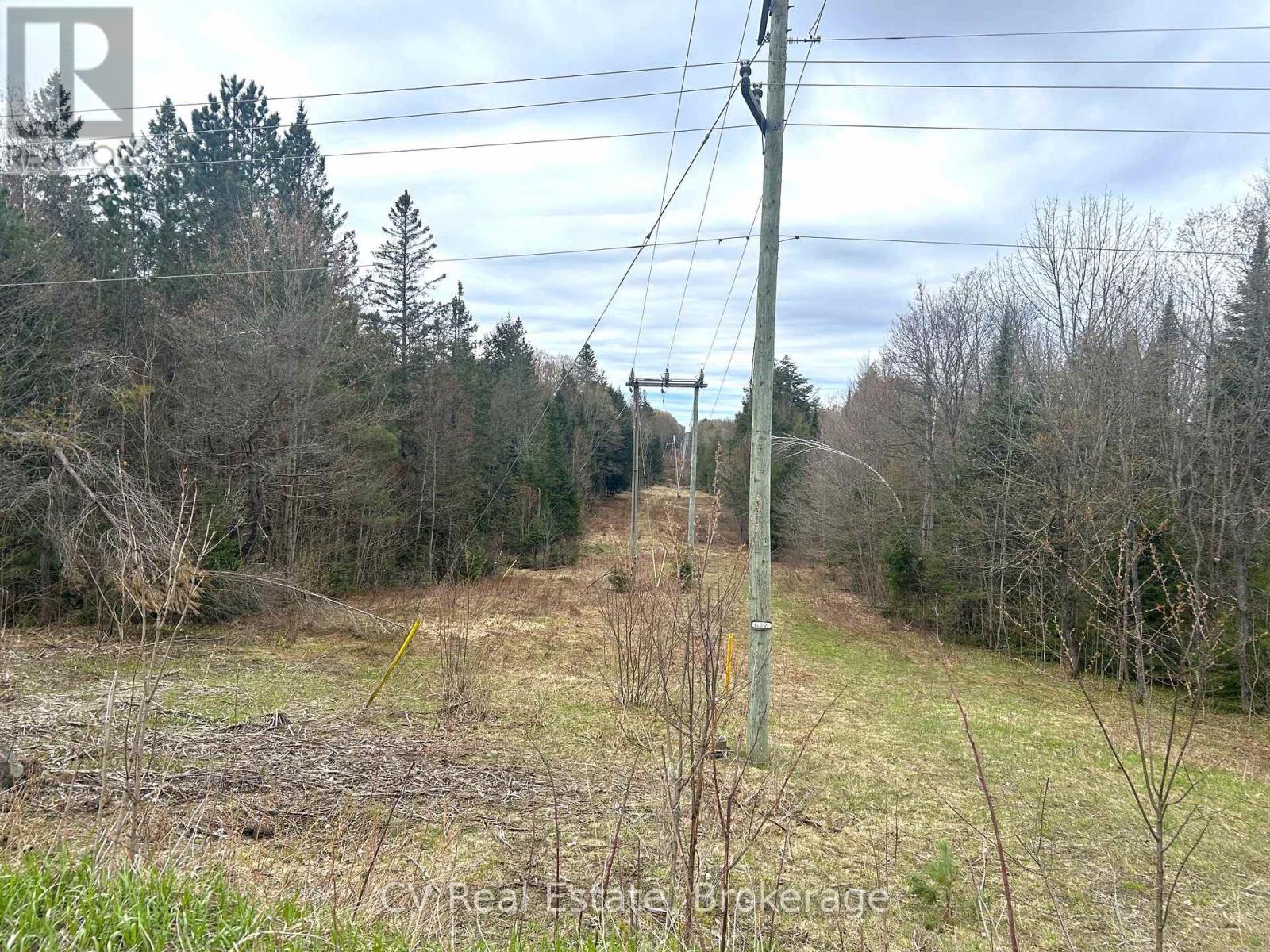 Lot 21 & Lot 22 Con 3, Muskoka Lakes, Ontario  P0B 1M0 - Photo 7 - X13128622
