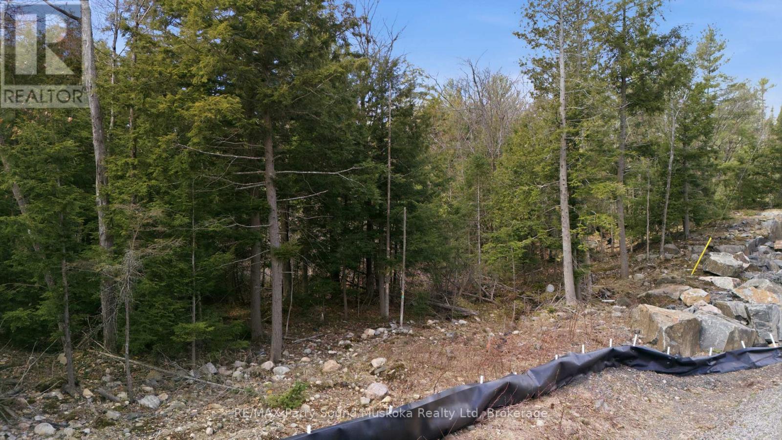 2 Zhaawashkwaa Miikan Road, Seguin, Ontario  P2A 2W8 - Photo 11 - X13128676