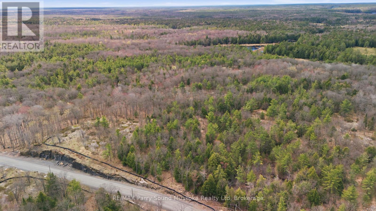 2 Zhaawashkwaa Miikan Road, Seguin, Ontario  P2A 2W8 - Photo 6 - X13128676