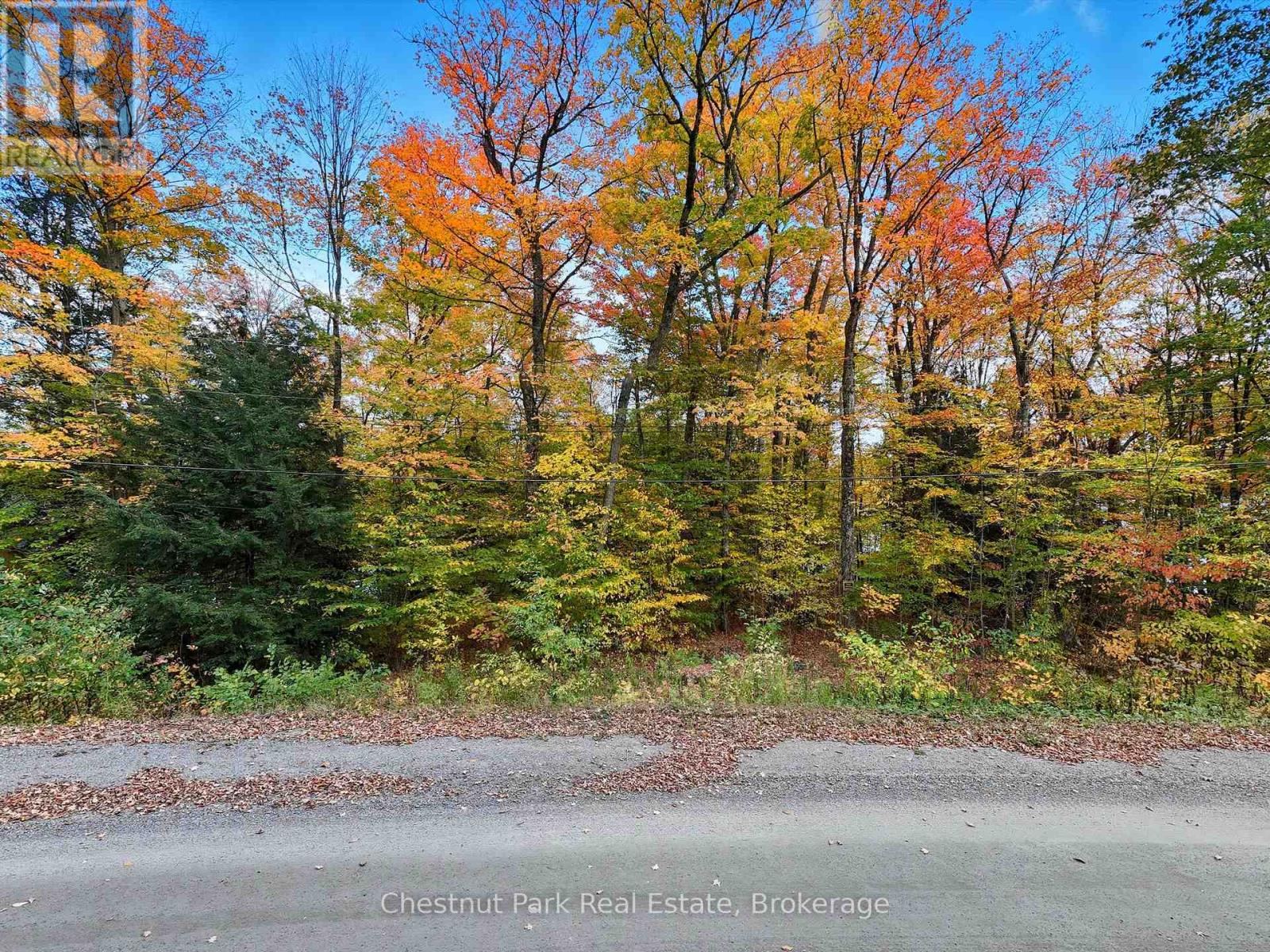 0 North Menominee Lake Road, Lake Of Bays, Ontario  P0B 1A0 - Photo 12 - X13128914