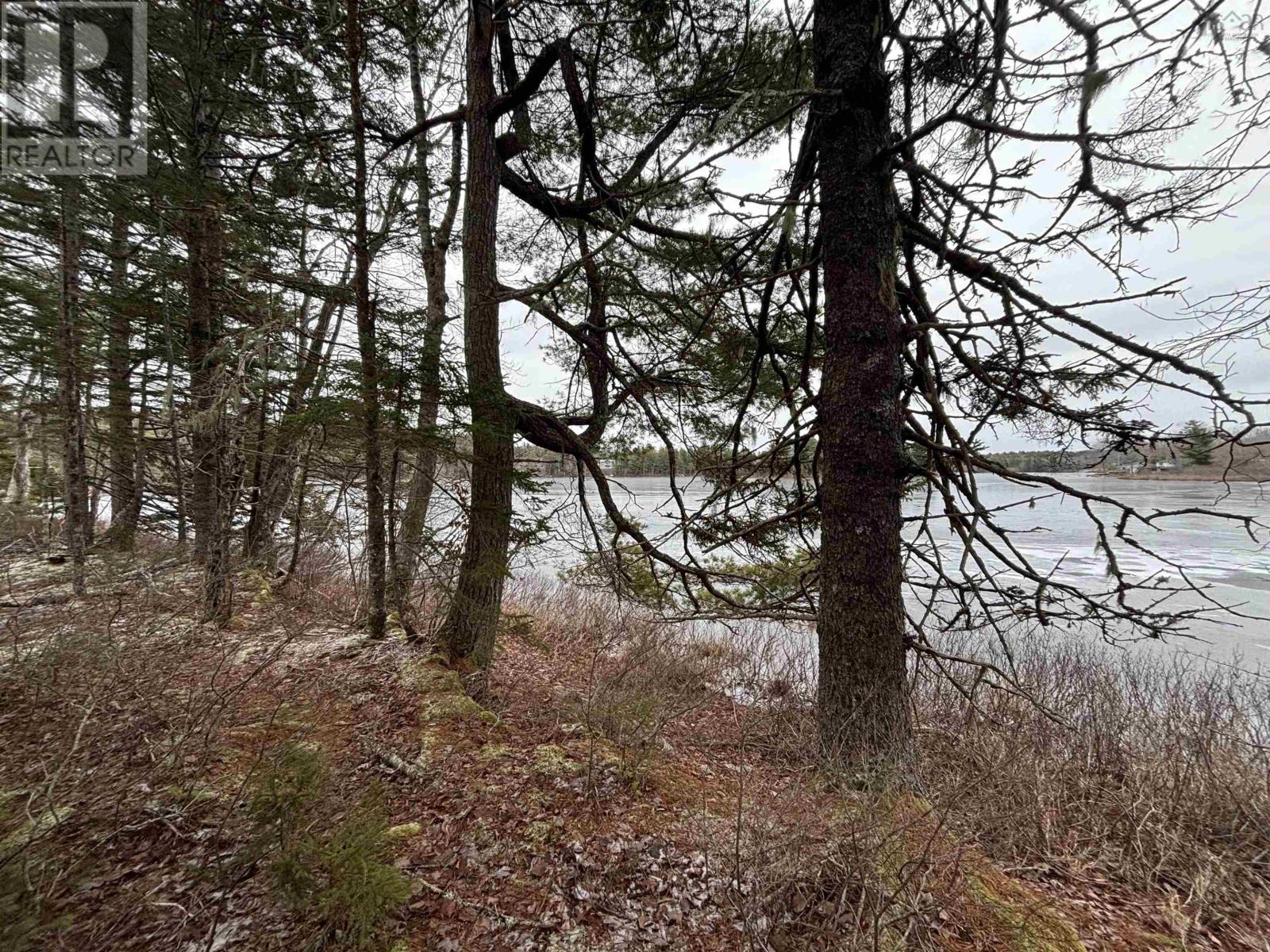 Lot 6-23 Highway 325, West Clifford, Nova Scotia  B4V 8H3 - Photo 6 - 202604754