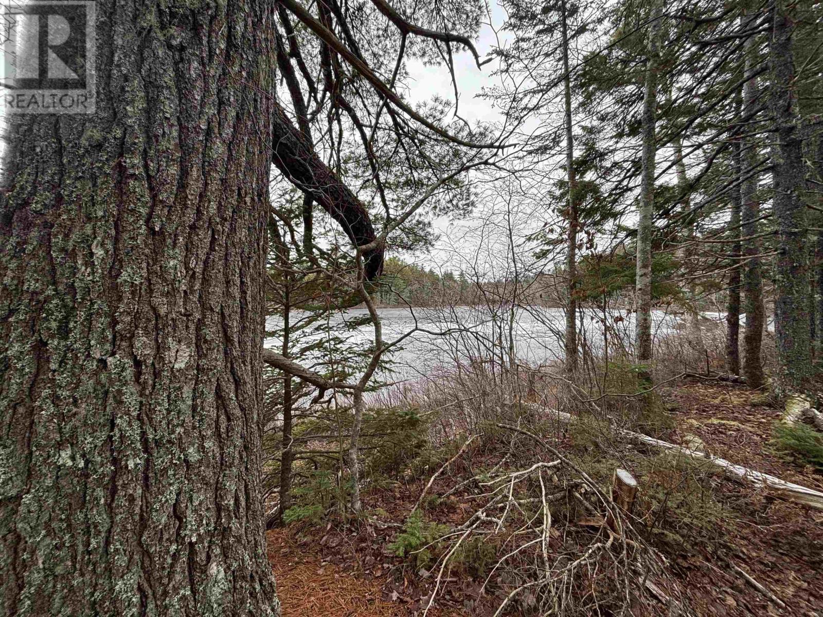 Lot 6-23 Highway 325, West Clifford, Nova Scotia  B4V 8H3 - Photo 4 - 202604754