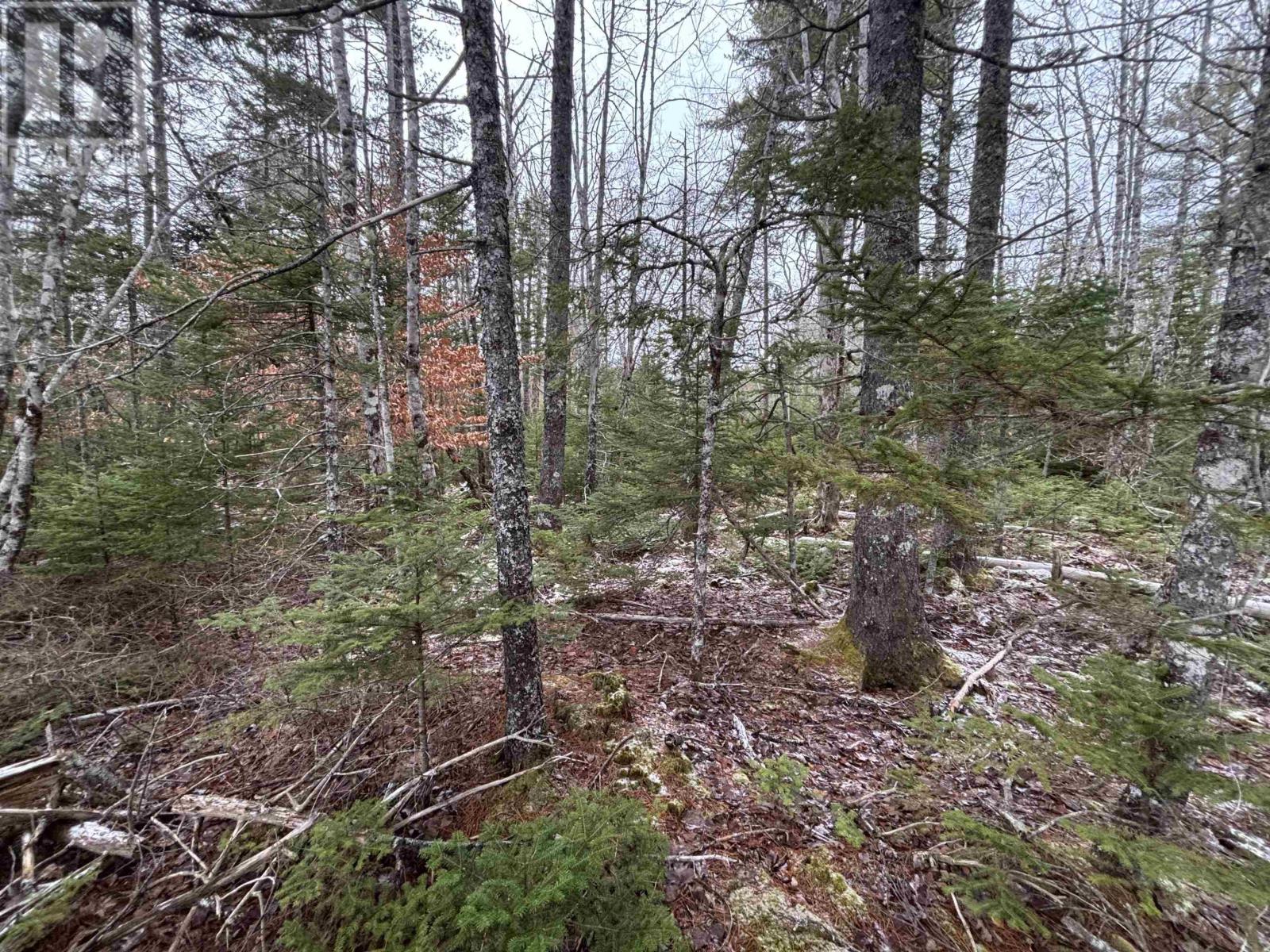 Lot 6-23 Highway 325, West Clifford, Nova Scotia  B4V 8H3 - Photo 7 - 202604754