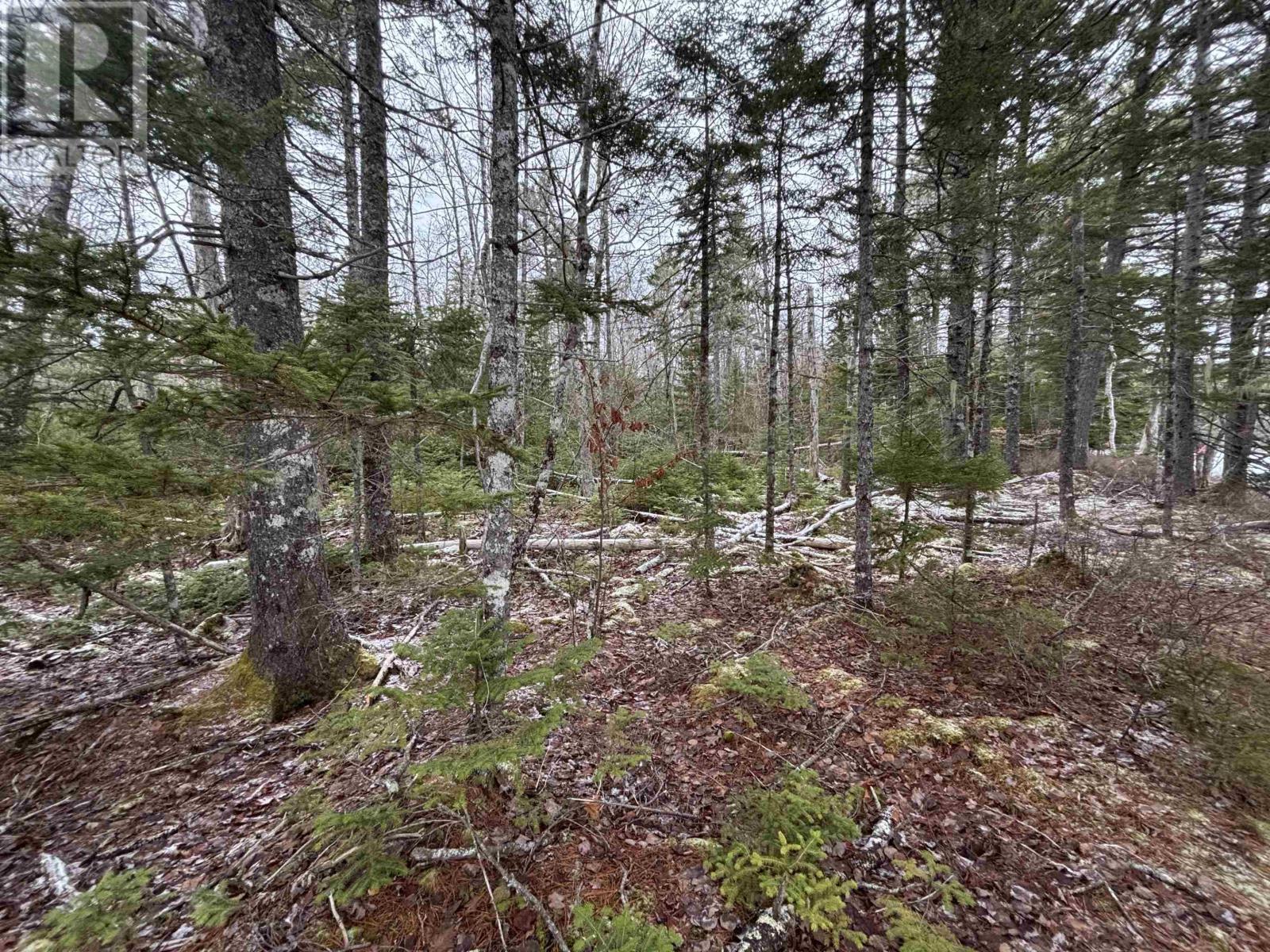 Lot 6-23 Highway 325, West Clifford, Nova Scotia  B4V 8H3 - Photo 8 - 202604754