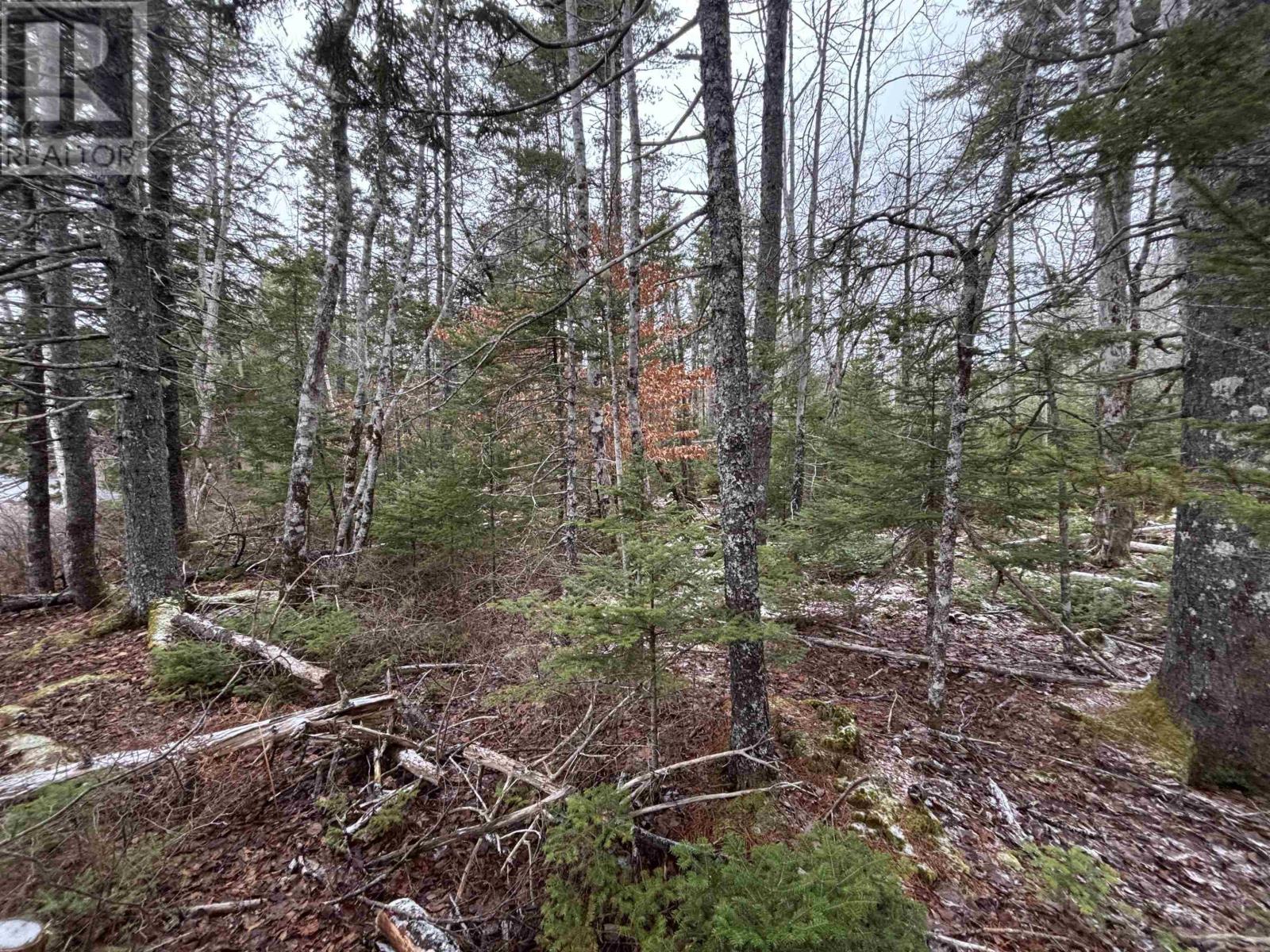 Lot 6-23 Highway 325, West Clifford, Nova Scotia  B4V 8H3 - Photo 9 - 202604754