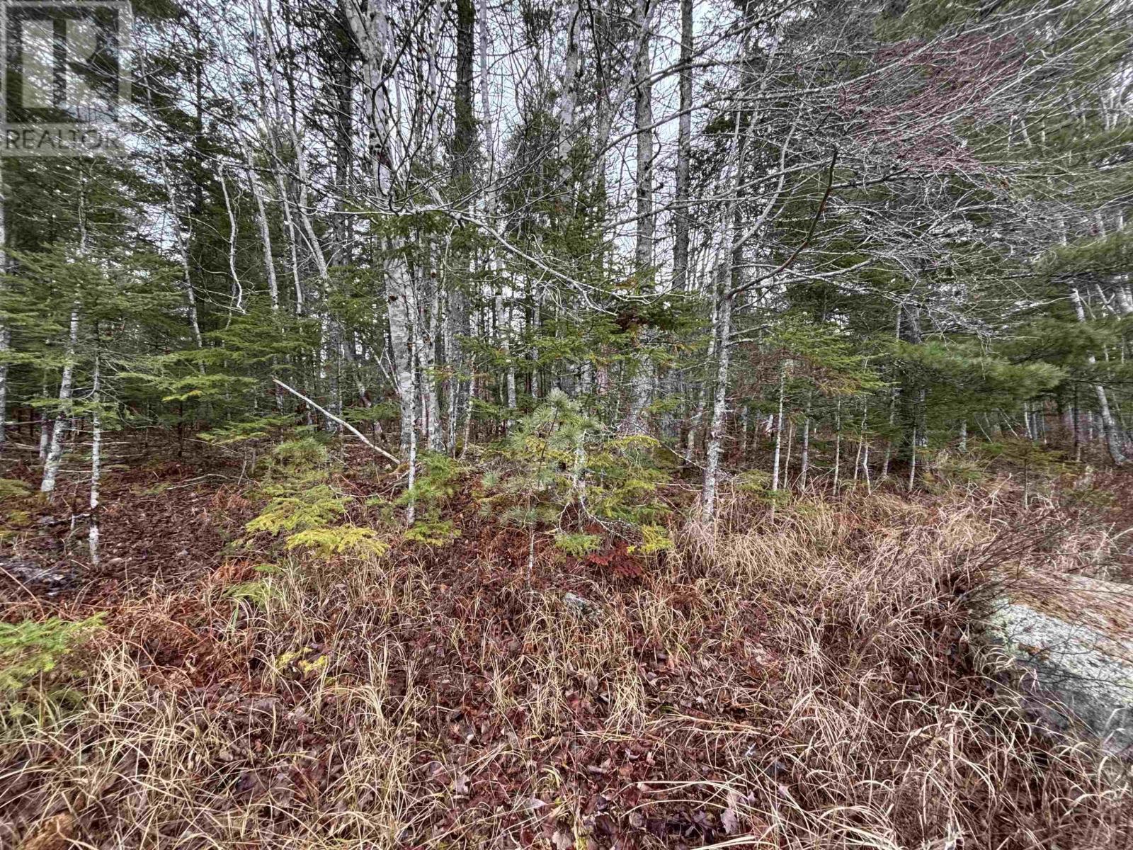 Lot 3-23 Highway 325, West Clifford, Nova Scotia  B4V 8H3 - Photo 5 - 202604755