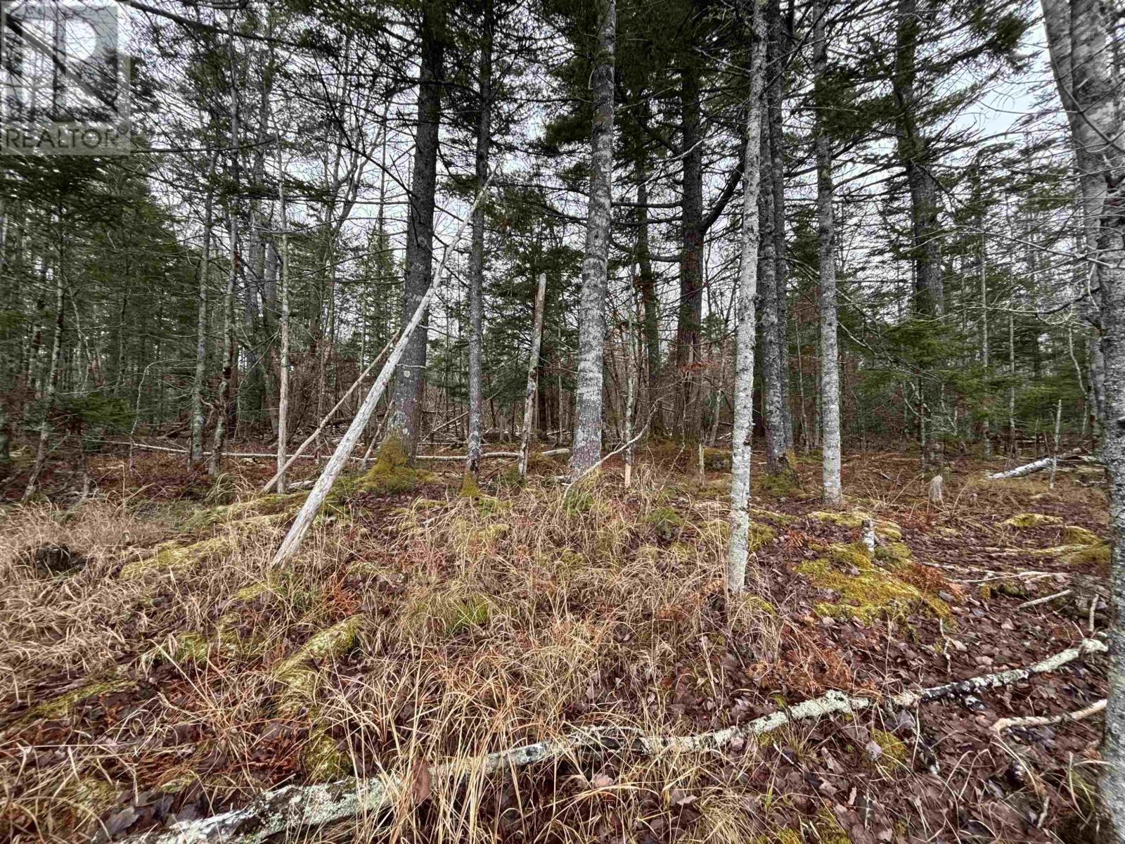 Lot 3-23 Highway 325, West Clifford, Nova Scotia  B4V 8H3 - Photo 6 - 202604755