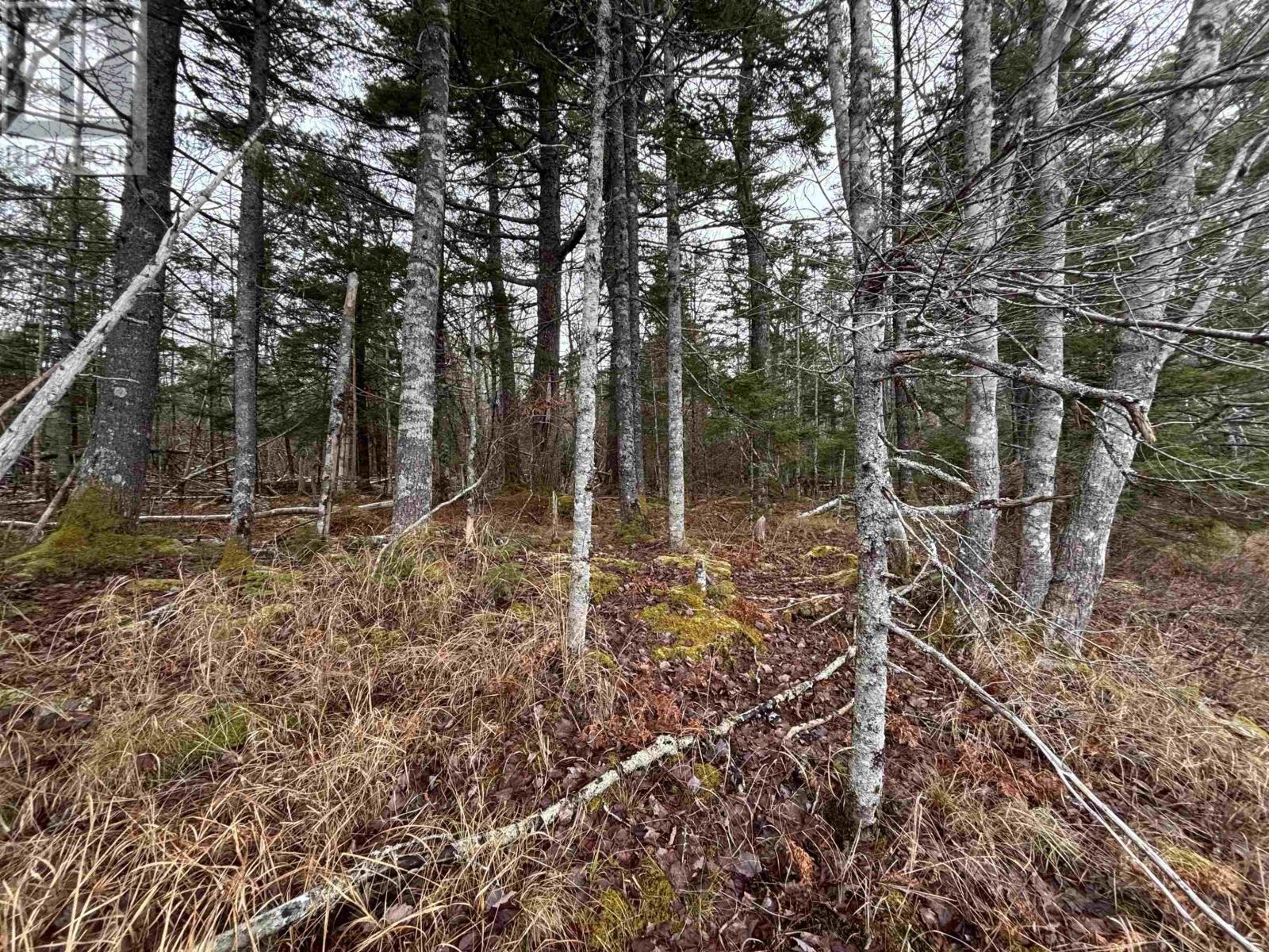 Lot 3-23 Highway 325, West Clifford, Nova Scotia  B4V 8H3 - Photo 7 - 202604755