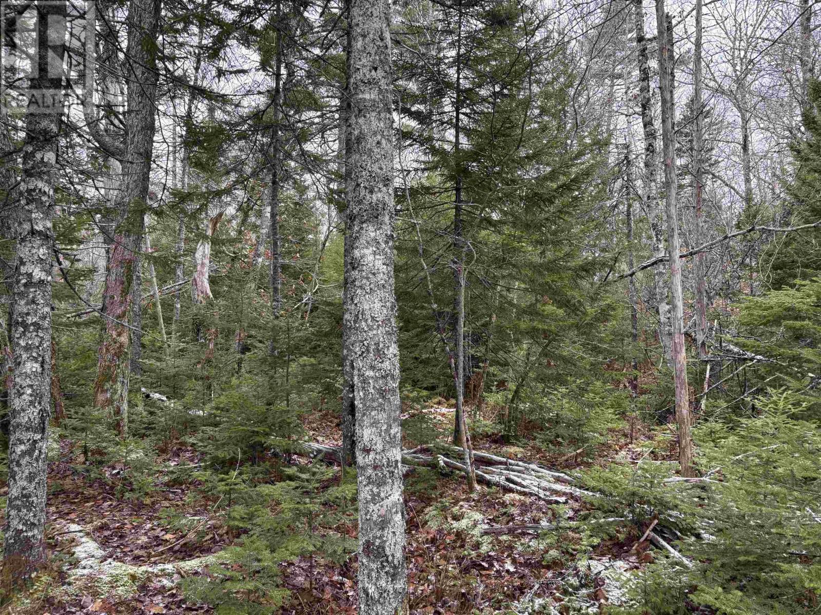 Lot 5-23 Highway 325, West Clifford, Nova Scotia  B4V 8H3 - Photo 6 - 202604756
