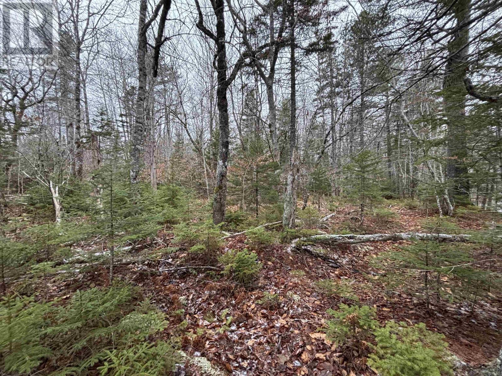 Lot 4-23 Highway 325, West Clifford, Nova Scotia  B4V 8H3 - Photo 11 - 202604757