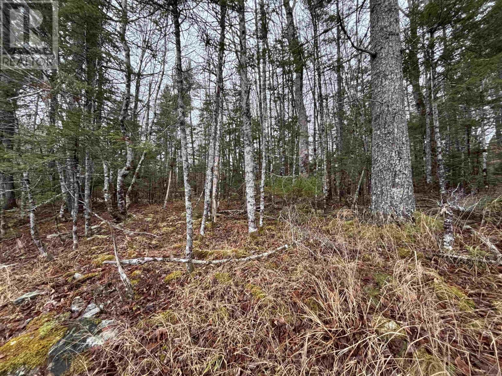 Lot 4-23 Highway 325, West Clifford, Nova Scotia  B4V 8H3 - Photo 9 - 202604757