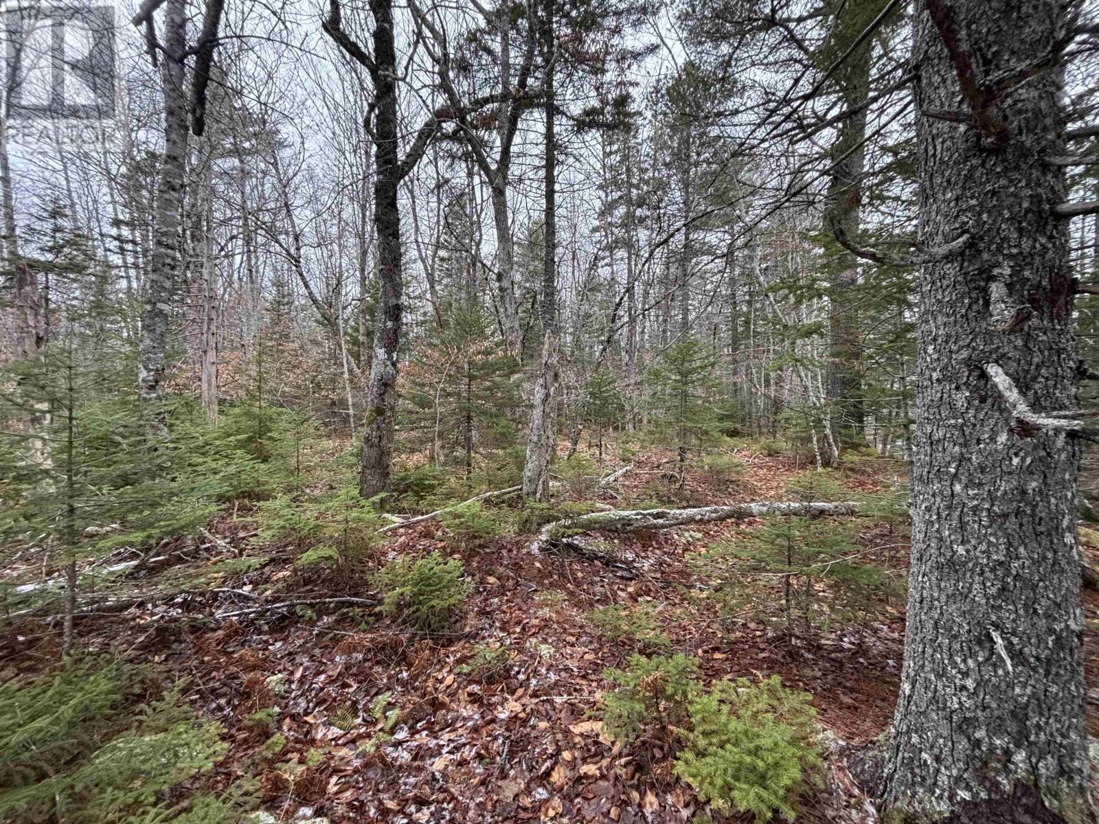 Lot 4-23 Highway 325, West Clifford, Nova Scotia  B4V 8H3 - Photo 12 - 202604757