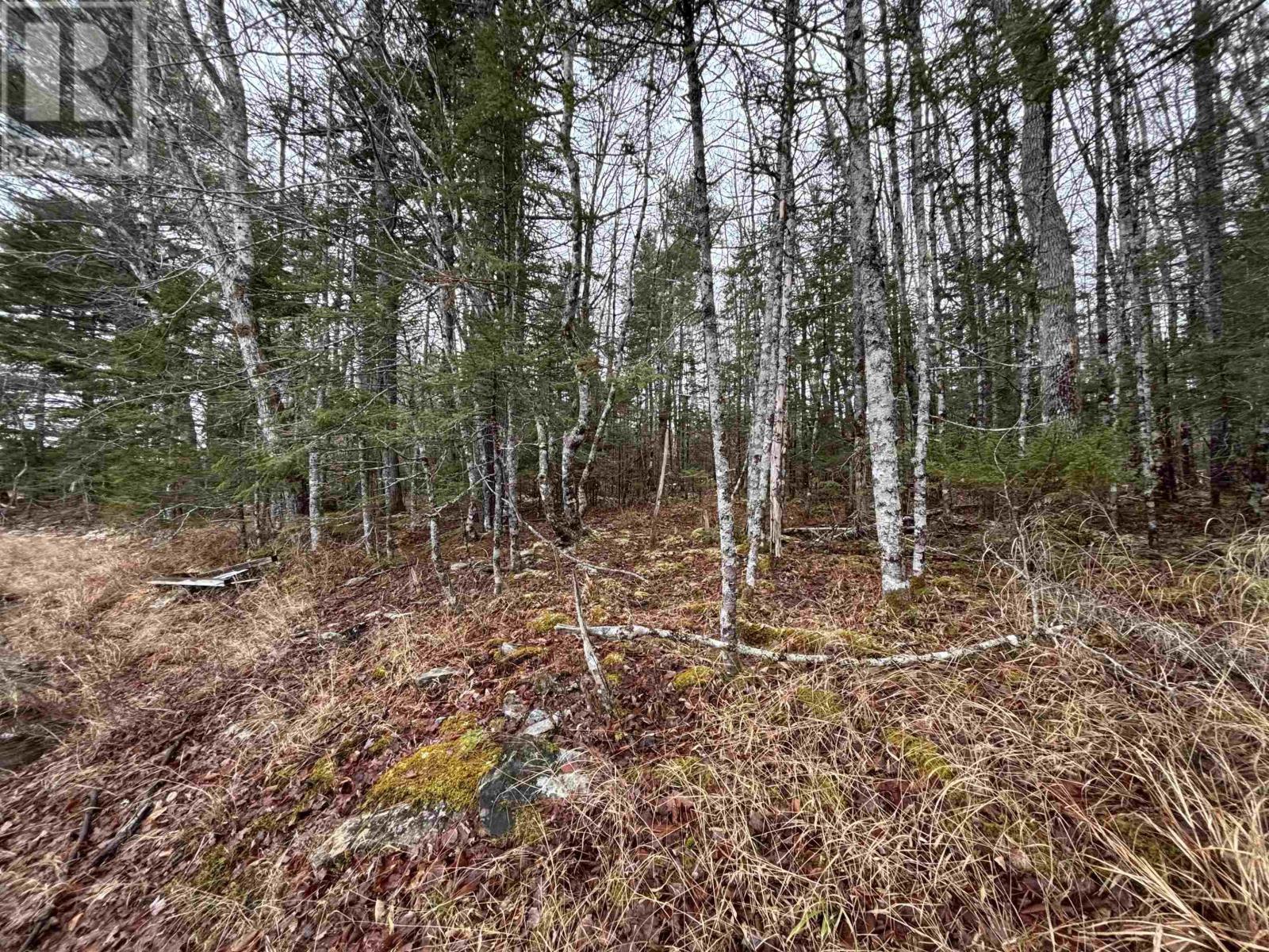 Lot 4-23 Highway 325, West Clifford, Nova Scotia  B4V 8H3 - Photo 10 - 202604757