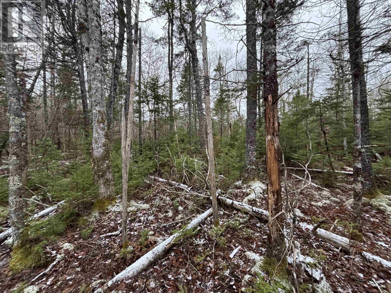 Lot 7-23 Highway 325, West Clifford, Nova Scotia  B4V 8H3 - Photo 8 - 202604753